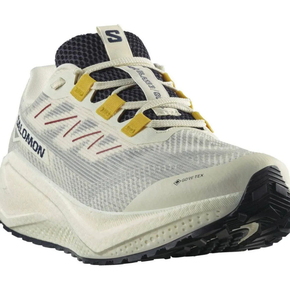 Aero Blaze 3 GTX Trail Running Shoes Mens