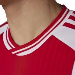 Ajax Amsterdam Home 2023 2024 Jersey Adults