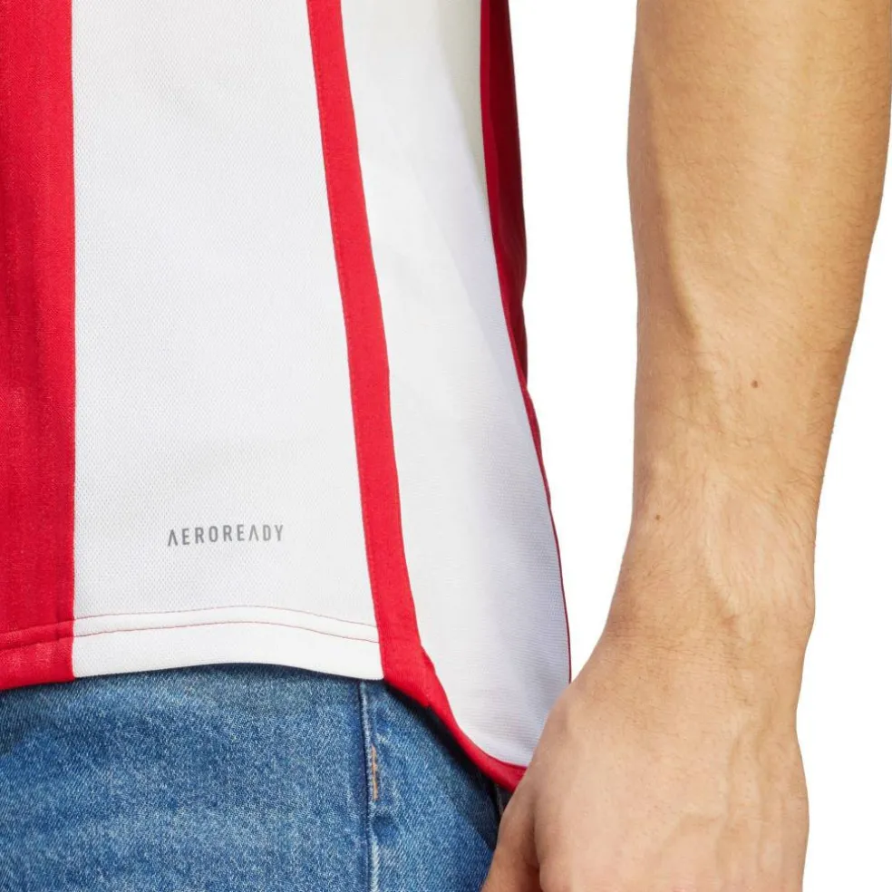 Ajax Amsterdam Home 2023 2024 Jersey Adults