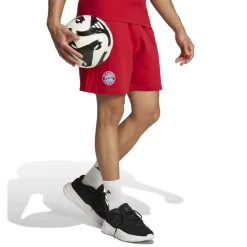 Bayern Munich DNA Shorts 2024 2025 Adults