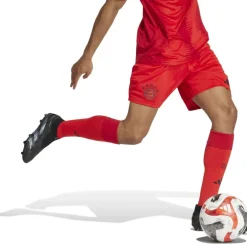 Bayern Munich Home Shorts 2024 2025 Adults