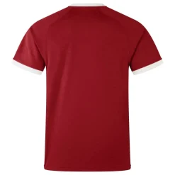 British and Irish Lions 2025 Shirt Adults