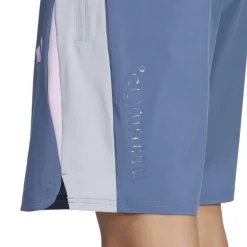Climacool Colorblock Shorts Mens