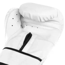 Core2 Boxing Glove