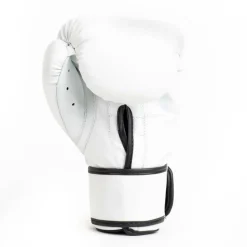 Core2 Boxing Glove