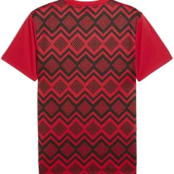 Efa Prematch Ss Jersey Football Shirt Mens
