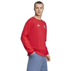 FC Bayern Munich DNA Sweatshirt 2024 2025 Adults