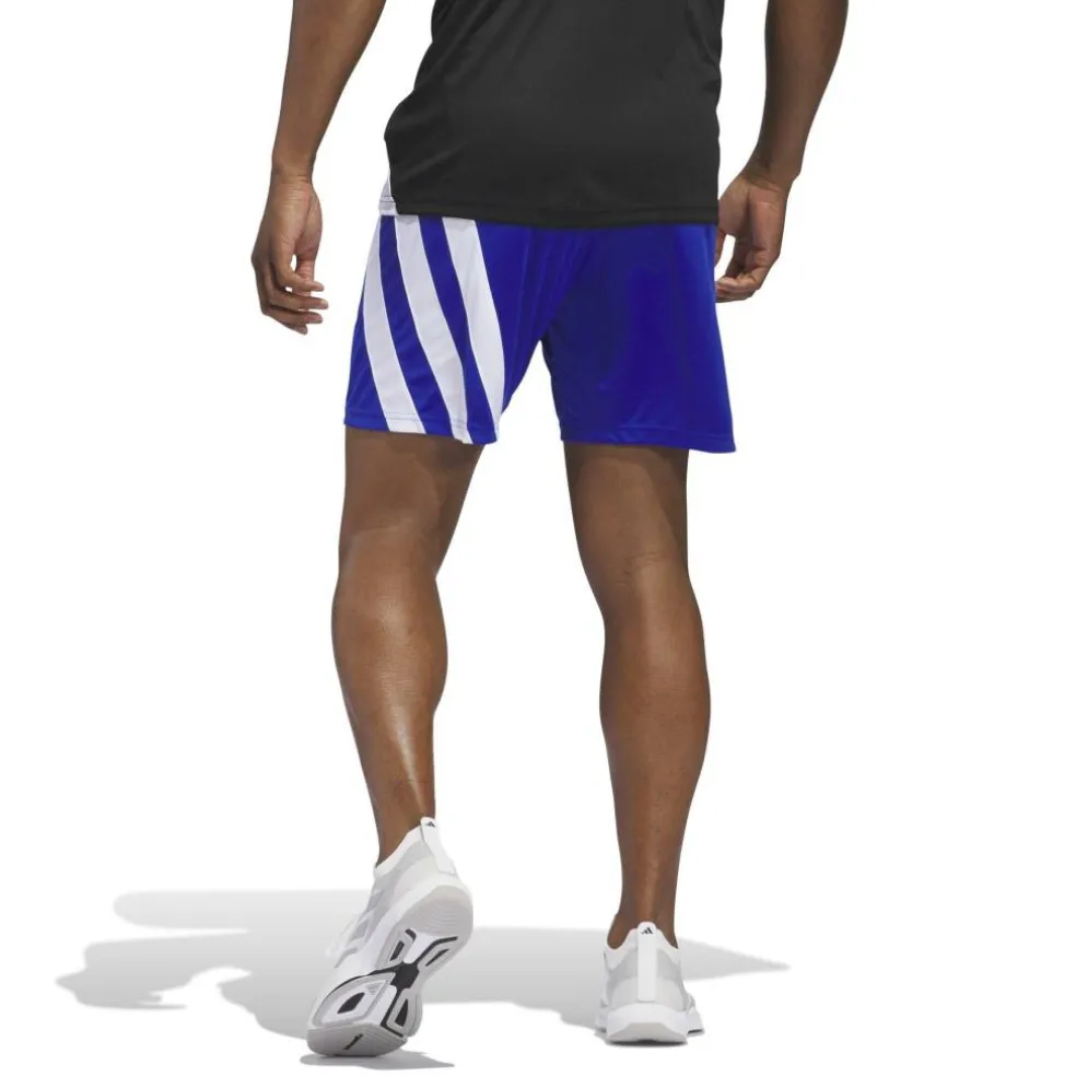 Fortore 23 Shorts Mens