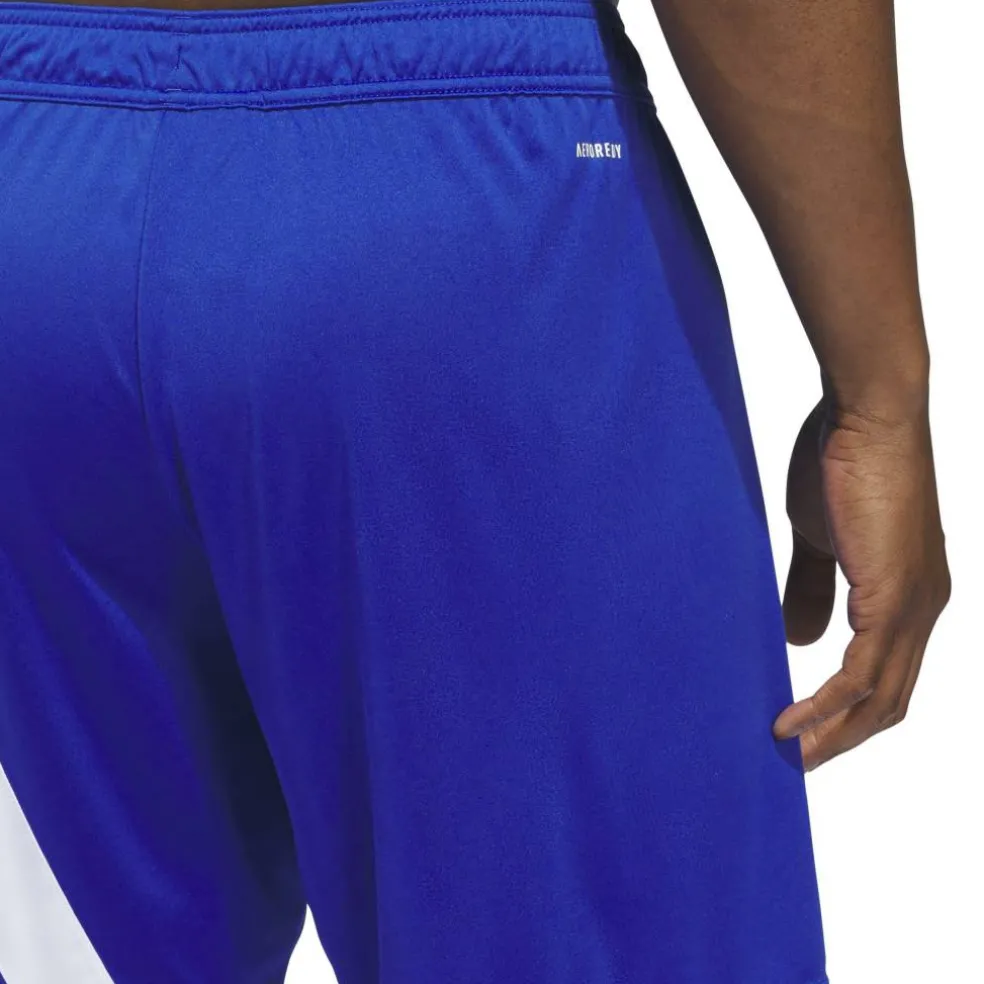 Fortore 23 Shorts Mens