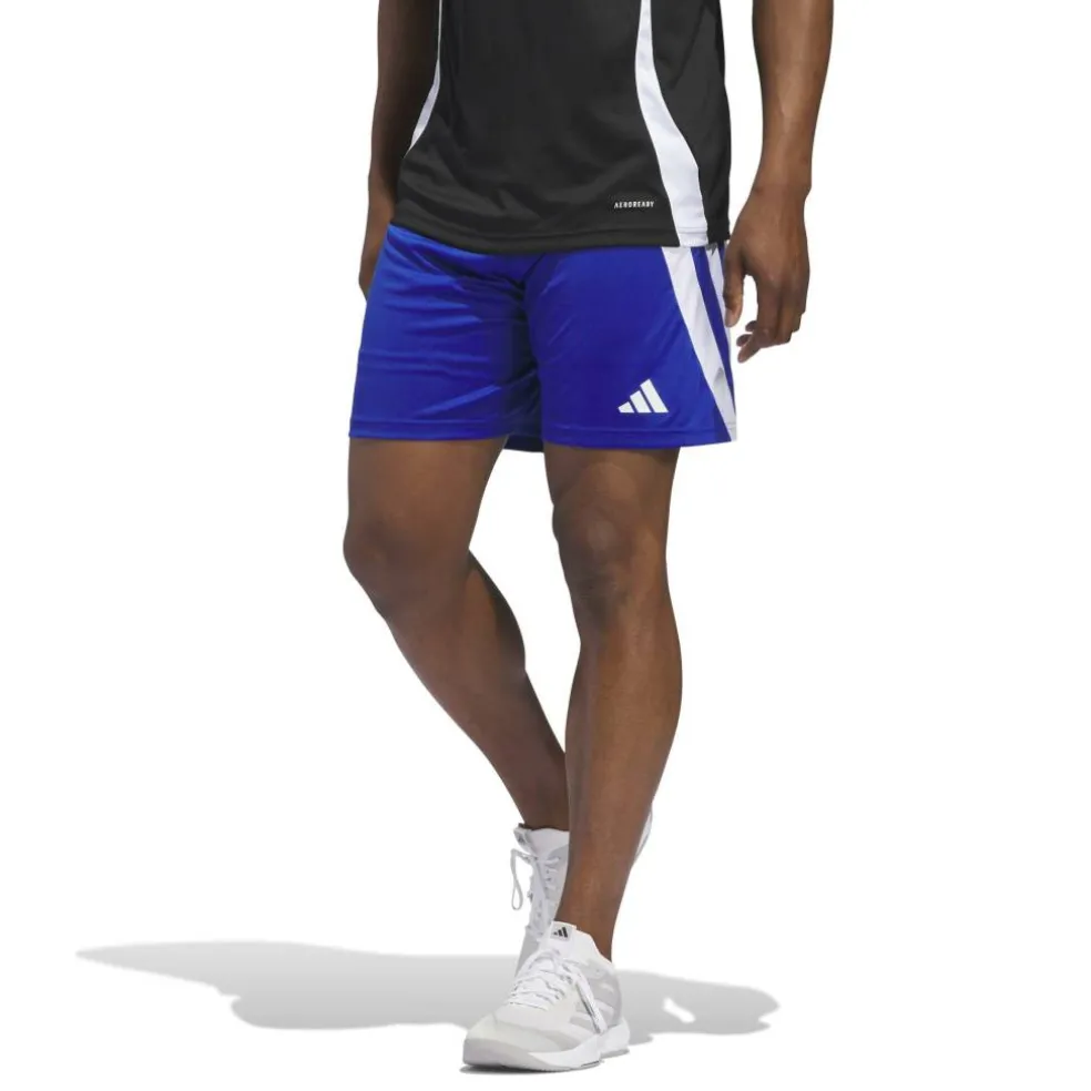 Fortore 23 Shorts Mens