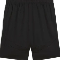 Galatasary Special Edition Shorts 2024 2025 Adults