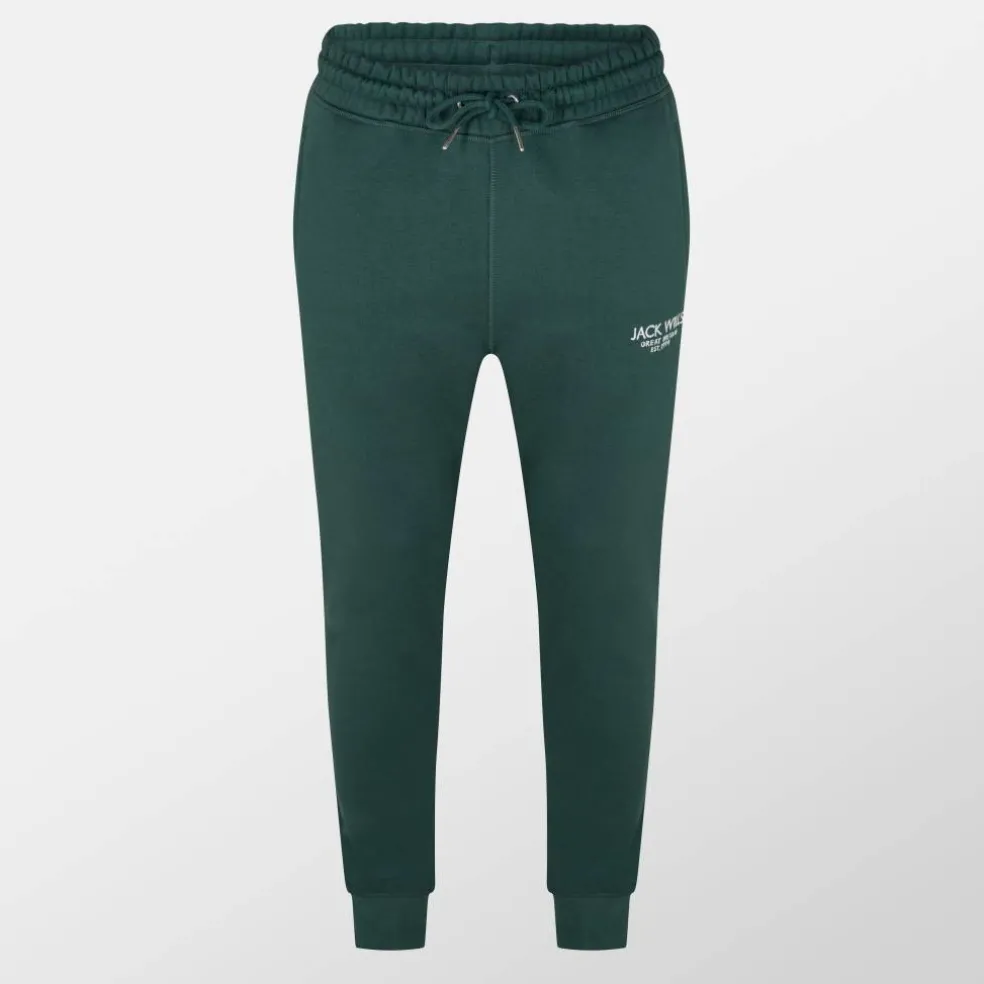 Haydor Logo Joggers Mens