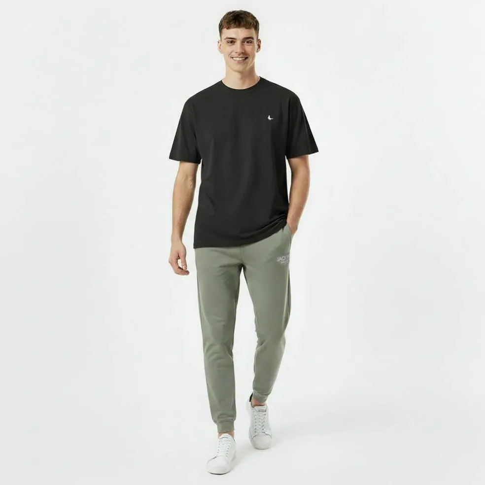 Haydor Logo Joggers Mens