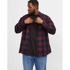 Jack + Gingham Twill Sn63