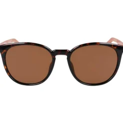 Journey Wayfarer Sunglasses