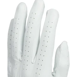 Leather Gloves