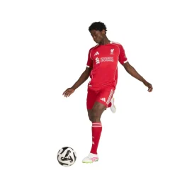 Liverpool Authentic Home Shirt 2025 2026 Adults
