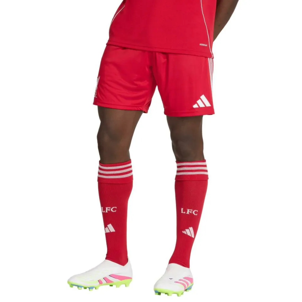 Liverpool Home Shorts 2025 2026 Adults