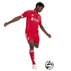 Liverpool Home Shorts 2025 2026 Adults