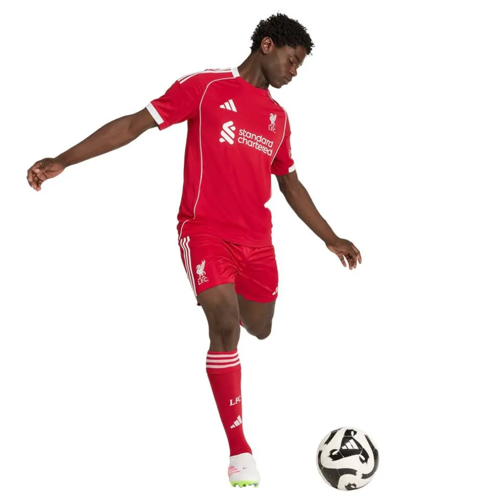 Liverpool Home Shorts 2025 2026 Adults
