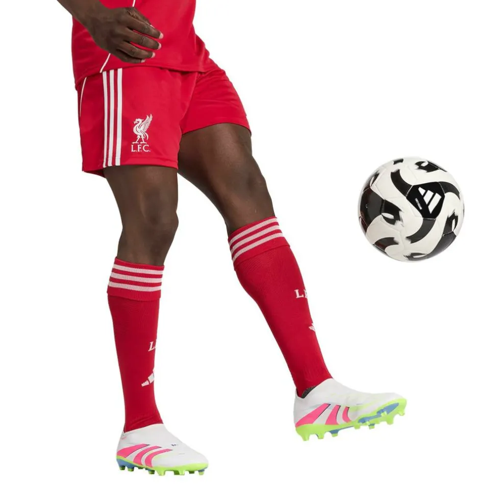 Liverpool Home Shorts 2025 2026 Adults