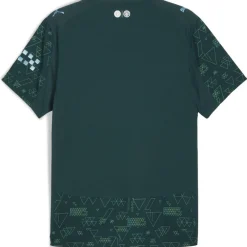 Manchester City Authentic Fourth Shirt 2025 2026 Mens