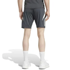 Manchester United European Tiro 24 Training Shorts Adults