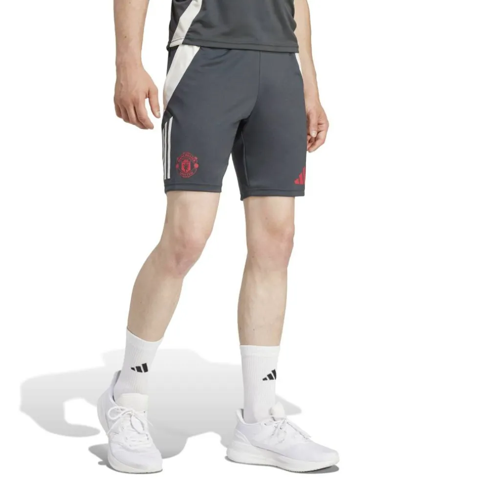 Manchester United European Tiro 24 Training Shorts Adults