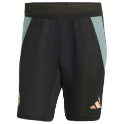 Mens adidas Bayern Munich Training Shorts 25/26