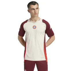 Men's Bayern Munich Long Sleeve Performance T-Shirt