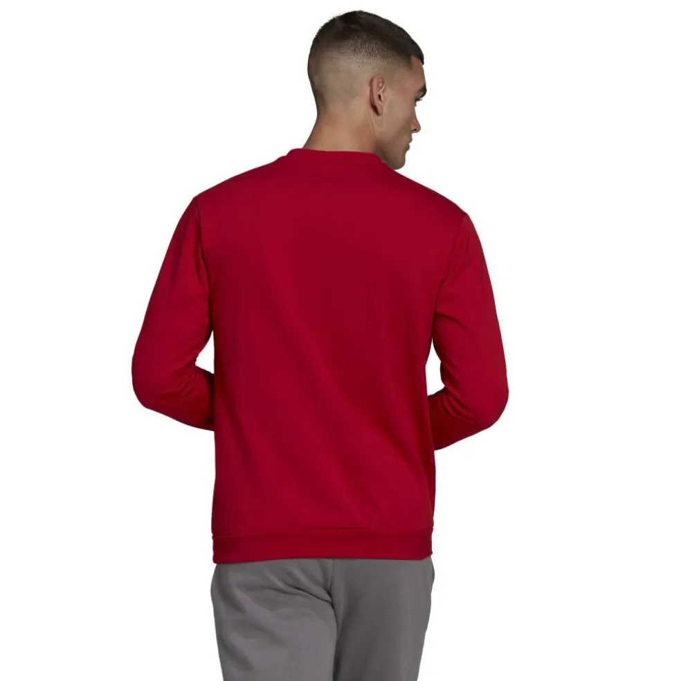 Men's Crew Sweatshirt