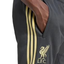 Men's Liverpool Licensed Tracksuit Bottoms
