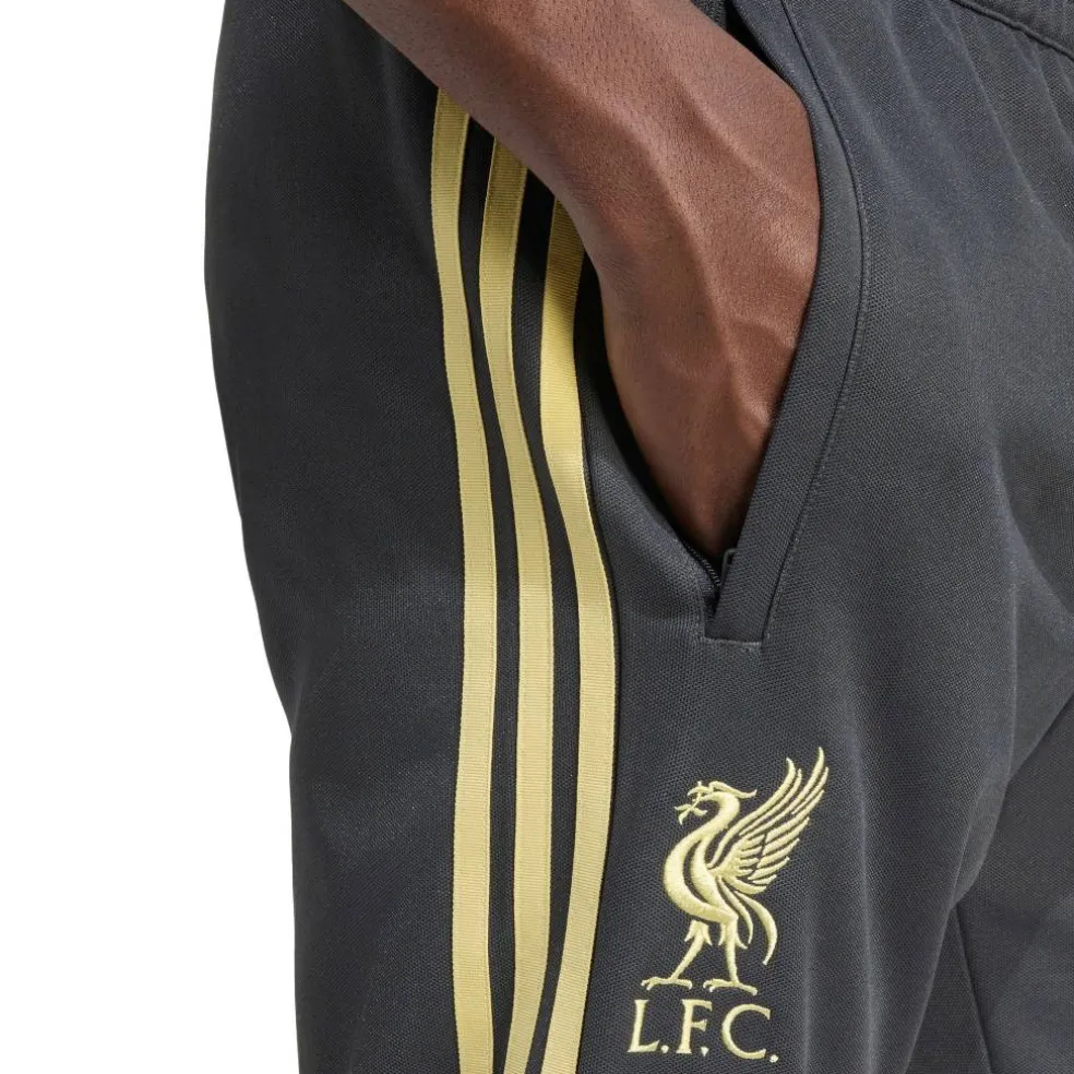 Men's Liverpool Licensed Tracksuit Bottoms