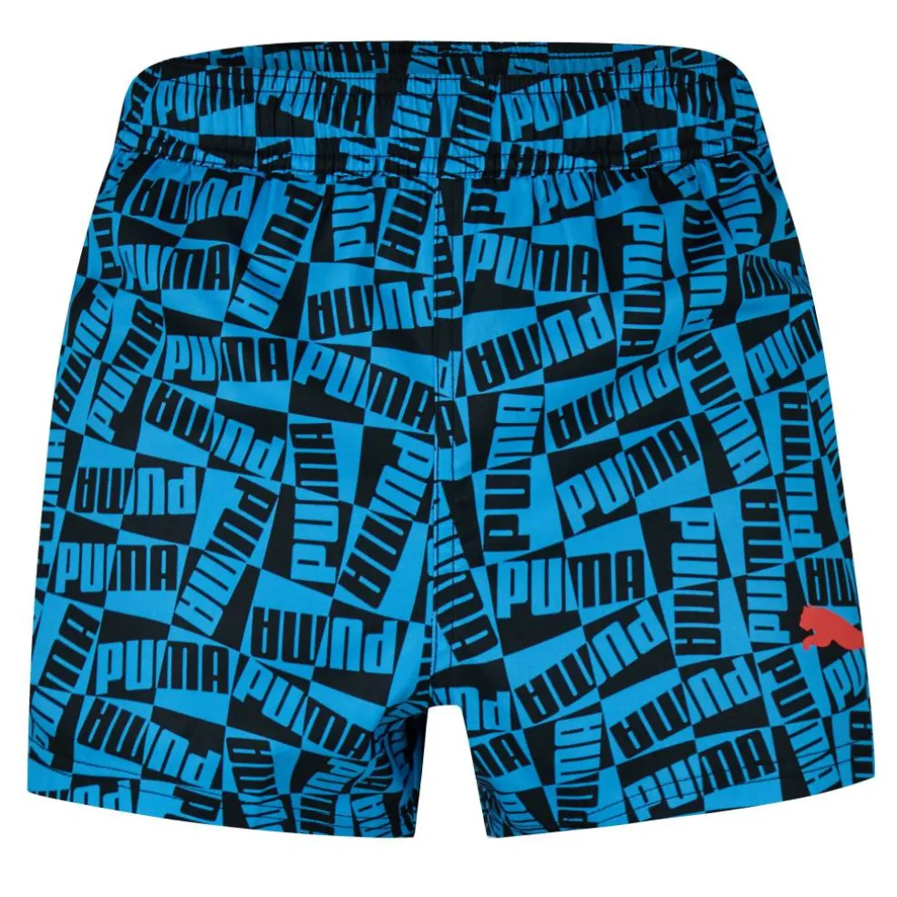 Men's Logo Swim Shorts
