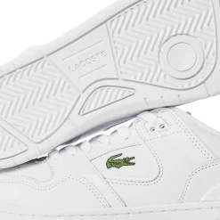 Men's Low-Top Trainers