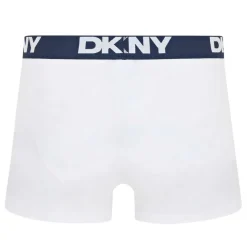 Mens 5 Pack Trunks Portland