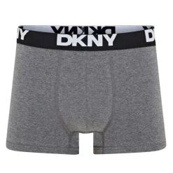 Mens 5 Pack Trunks Portland