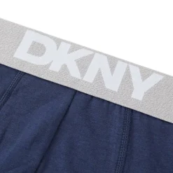 Mens 5 Pack Trunks Portland