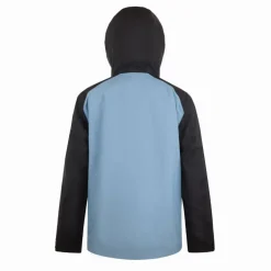 Men's Powder Waterproof Windproof DWR Ski Jacket