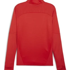 Men's Teamfinal Training 1/4-Zip Fleece