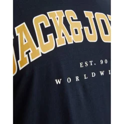 Men's Varsity Logo Plus Size T-Shirt