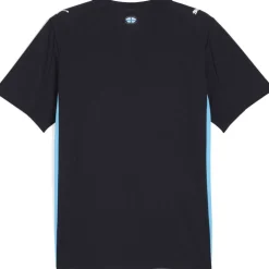 Olympique Marseille Away Shirt 2025 2026 Adults