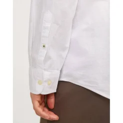 Oxford Shirt