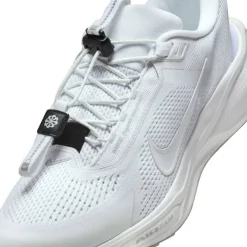 Pegasus Easyon Road Running Shoes Mens