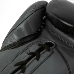 Powerlock2 Fight Glove