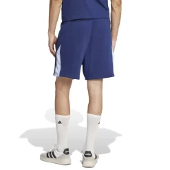 Seasonal Essentials Colorblock Shorts Mens