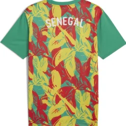 Senegal Pre Match Shirt 2025 Adults