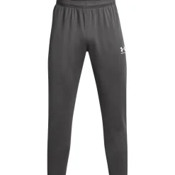 UA Challenger Pants Men's