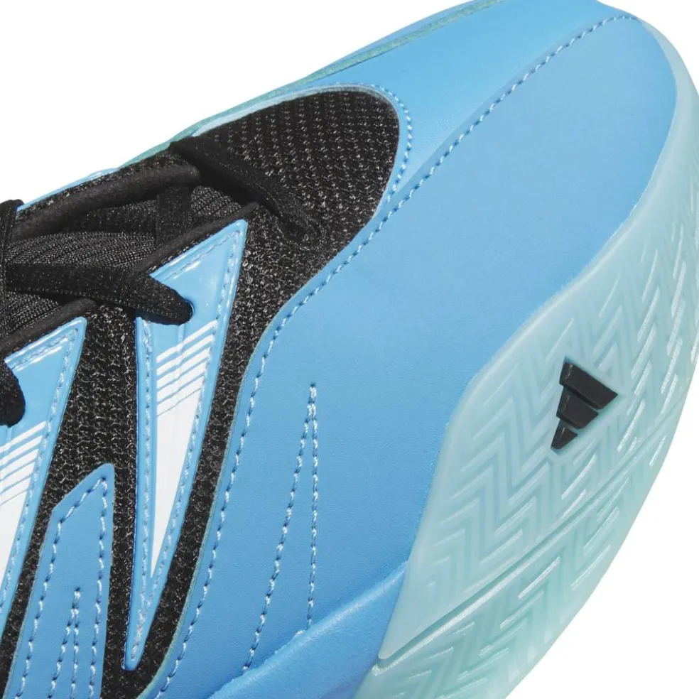 Unisex Dame Certified Basketball Trainers