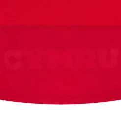 Wales Rugby Long Sleeve Home Shirt 2025 Adults